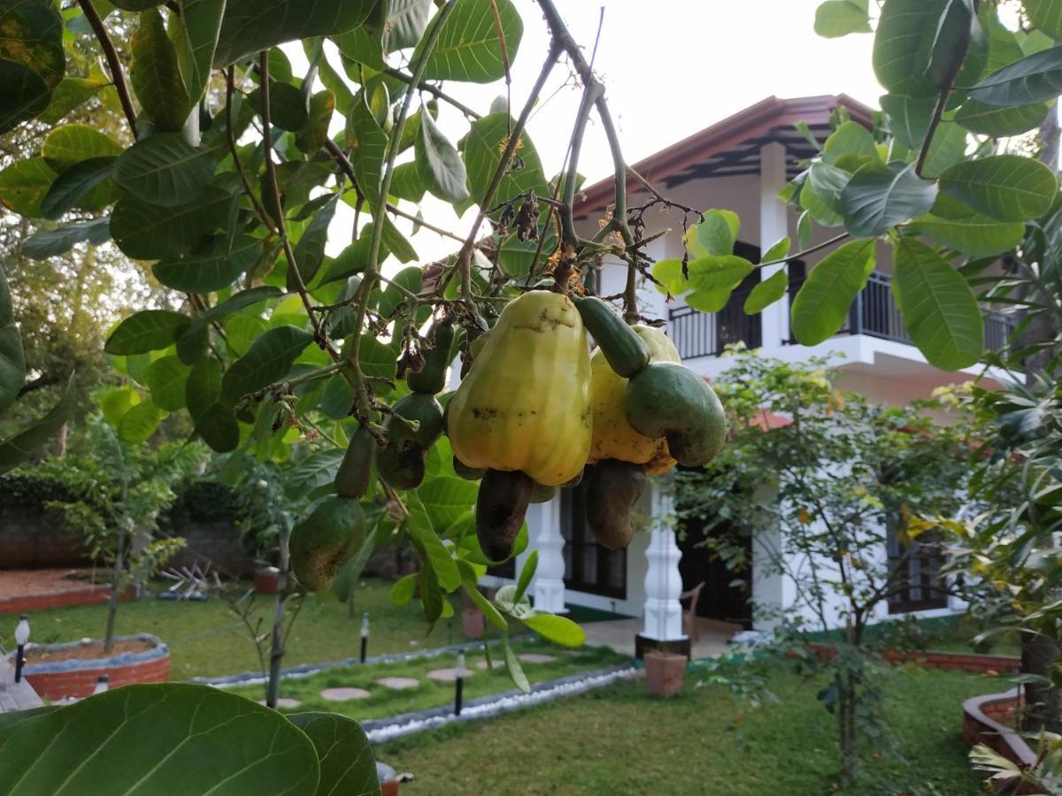 Sigiriya Cashew Palace Resort Daganapothaha Esterno foto
