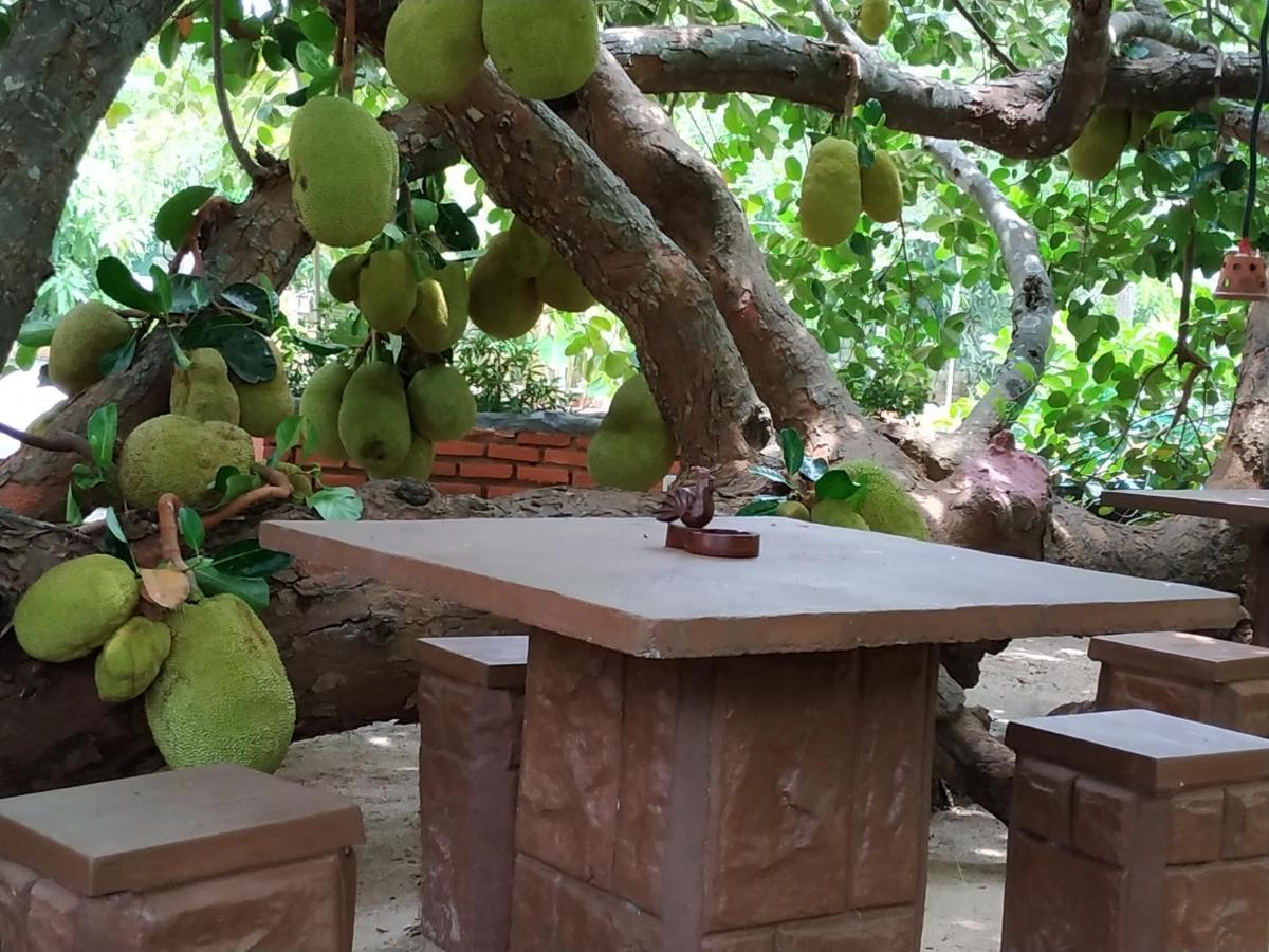 Sigiriya Cashew Palace Resort Daganapothaha Esterno foto