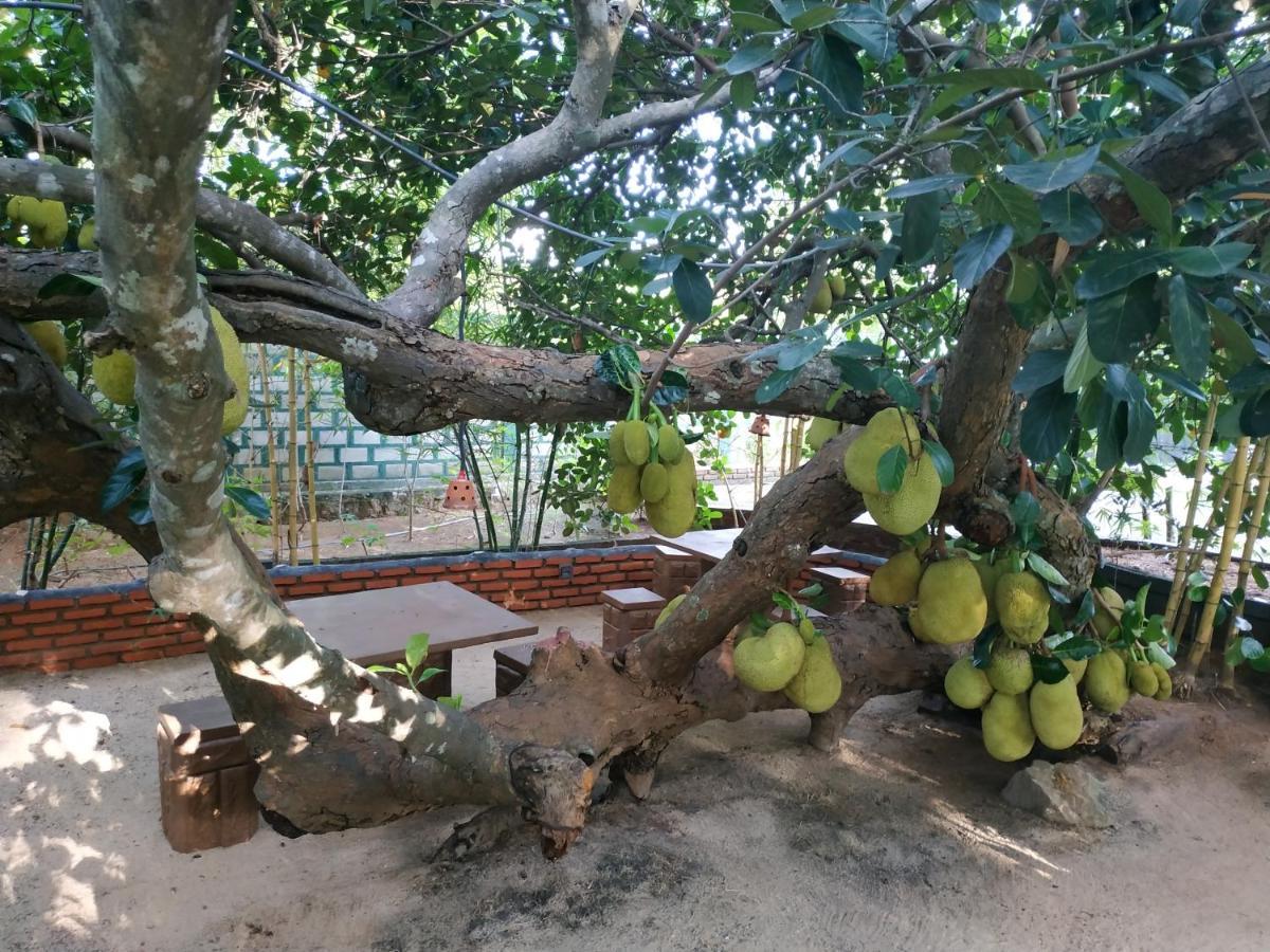 Sigiriya Cashew Palace Resort Daganapothaha Esterno foto