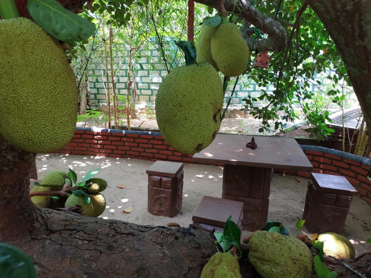 Sigiriya Cashew Palace Resort Daganapothaha Esterno foto
