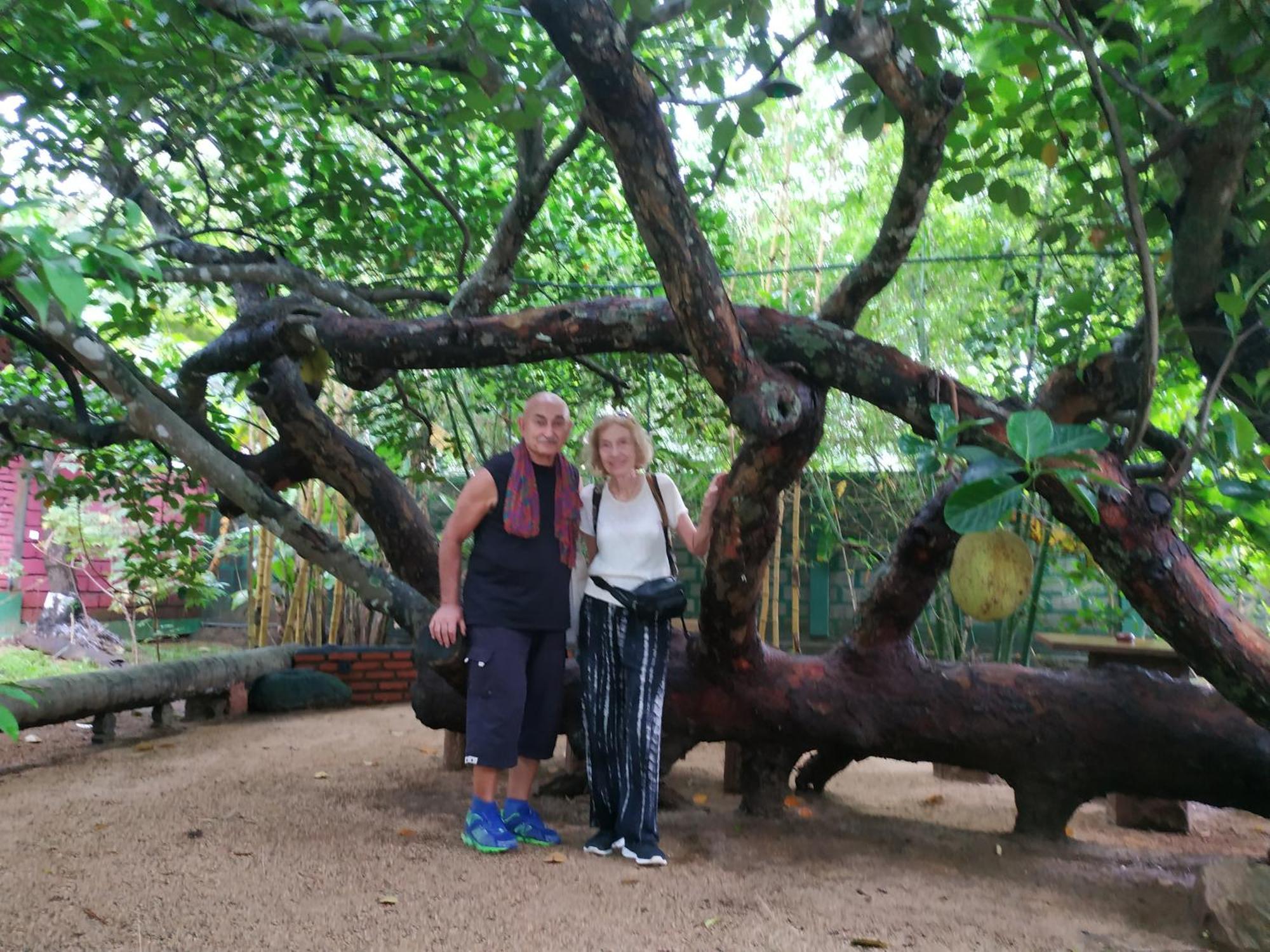 Sigiriya Cashew Palace Resort Daganapothaha Esterno foto