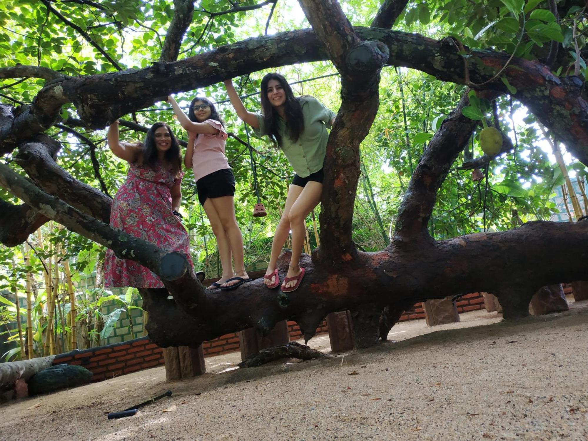 Sigiriya Cashew Palace Resort Daganapothaha Esterno foto